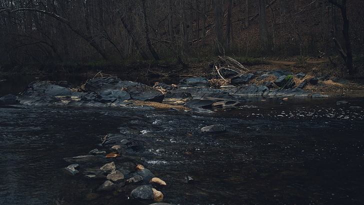 rocks in river, water, stream, dark, tree, forest, land, nature