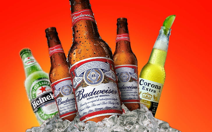 beer, Budweiser, Corona, Heineken, HD wallpaper