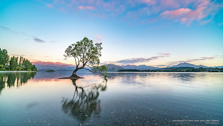 Lake Wanaka at Dawn, South Island, New Zealand, Oceania