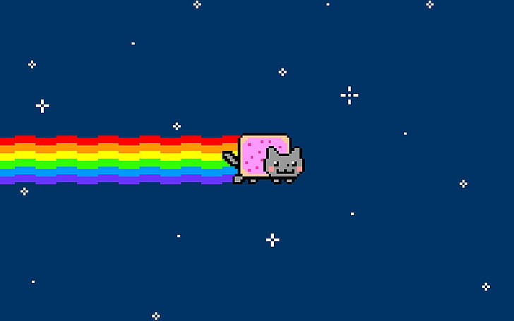 cat, cats, Nyan, outer, rainbows, space