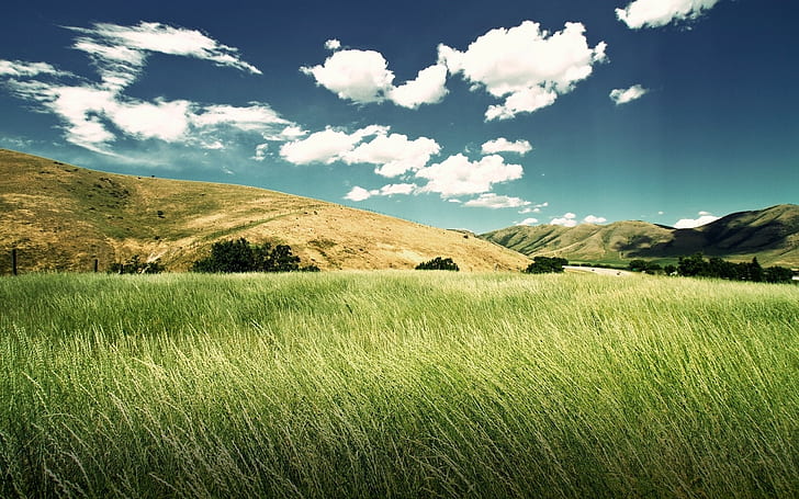 nature, landscape, field, clouds, hills, sky, grass, HD wallpaper