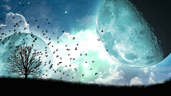 clouds, Moon, night, stars, trees, birds, artwork