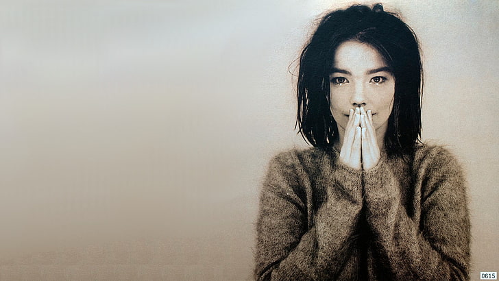 album covers, music, women, Björk