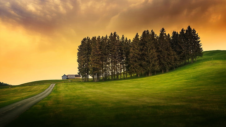 grass lawn, nature, landscape, trees, hills, clouds, field, house