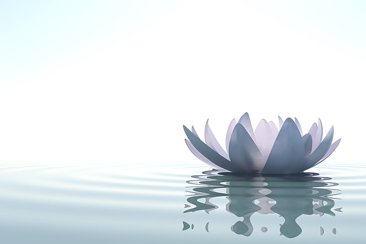 water, lake, art, Lotus