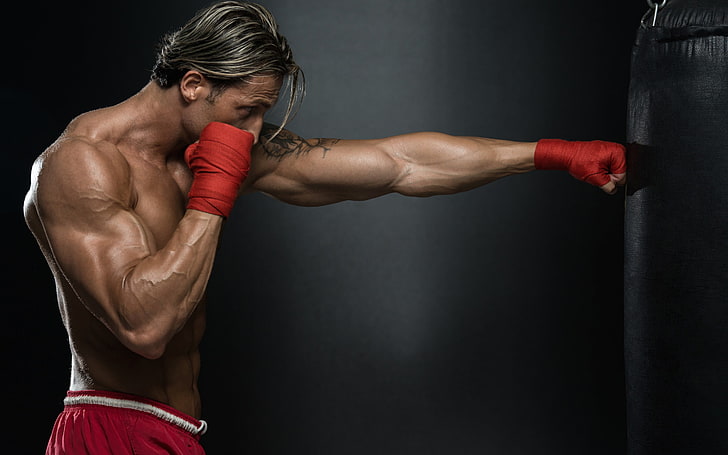 Boxer Punch Punching Bag, black heavy bag, Sports, Boxing, workout, HD wallpaper
