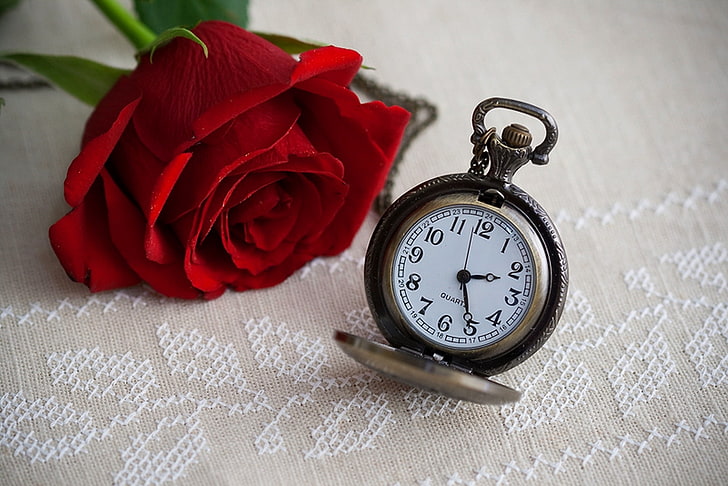 red rose and silver pocket watch, flower, time, dial, clock, HD wallpaper