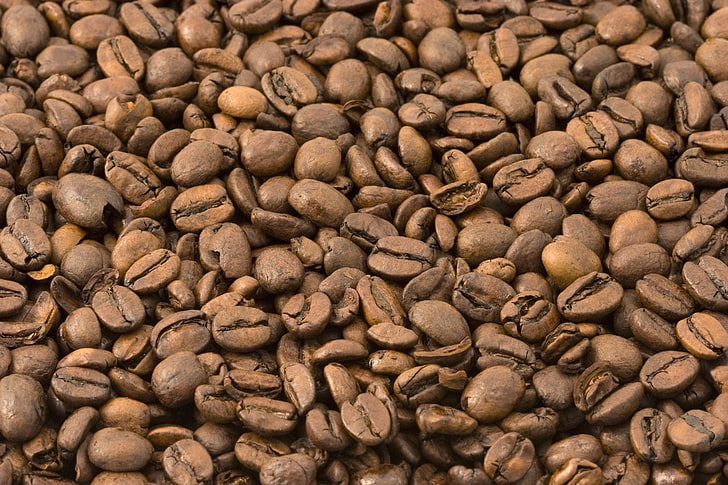 coffee, coffee beans, brown, closeup, nature, food and drink