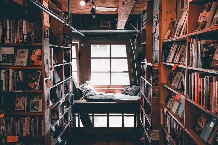 black metal bunk bed, library, books, reading, comfort, shelves
