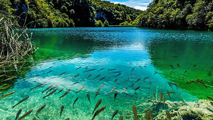 Beautiful Turquoise Lake In Plitvice National Park, Croatia 947552, HD wallpaper