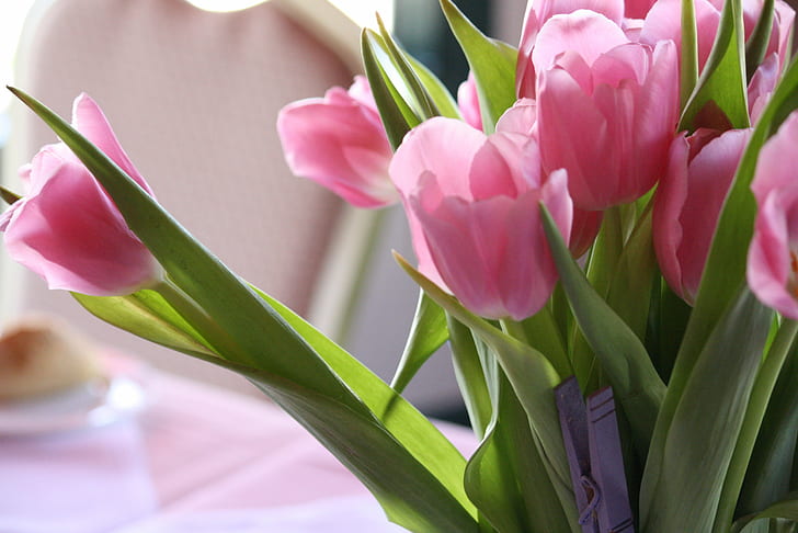 pink flowers, tulip, tulip, bunch, tulips, sunshine, bouquet, HD wallpaper