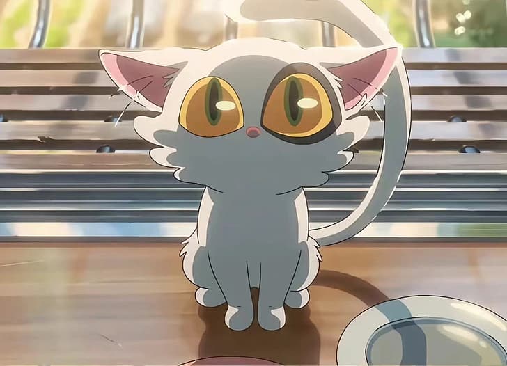 cute anime cat boy wallpaper
