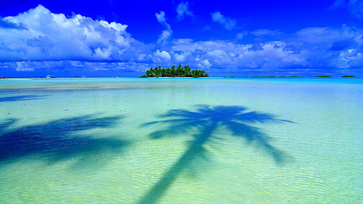 green leafed tree, island, sea, palm trees, sky, clouds, cloud - sky, HD wallpaper