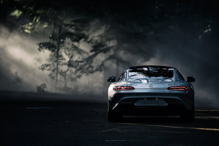 gray Mercedes-Benz car, amg, gt s, 2016, rear view, road, land Vehicle