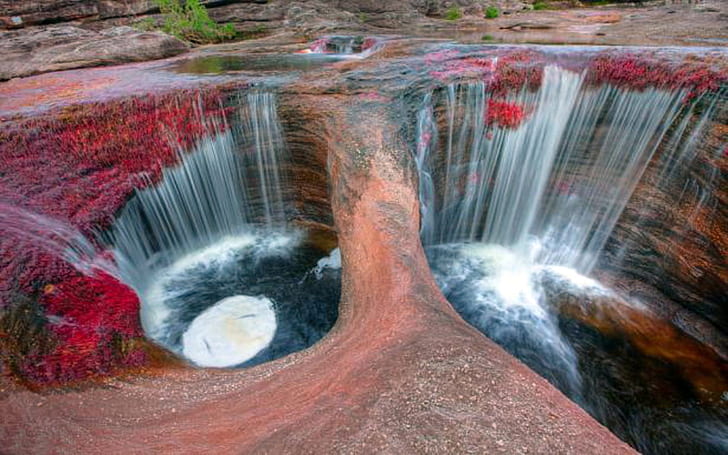 Cano Cristales River Colombia Wallpapers 1920×1200 Full Hd
