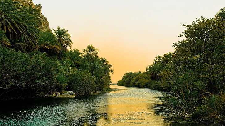 jungle, river, tree, plant, sky, water, beauty in nature, scenics - nature
