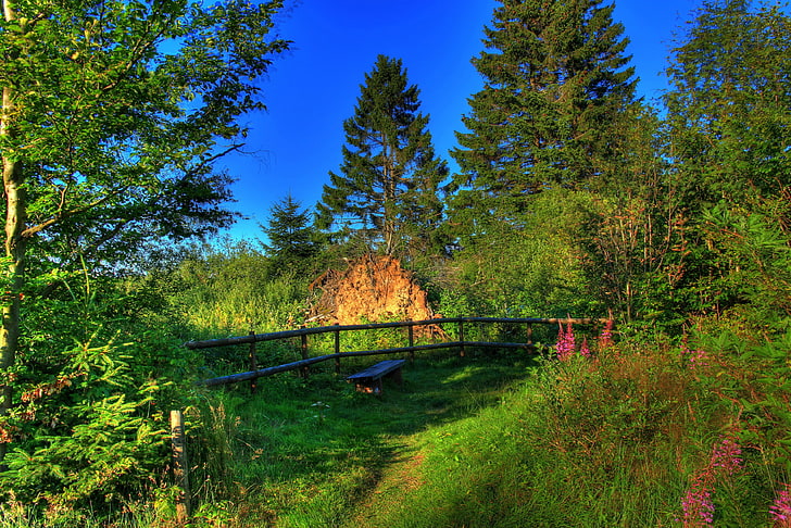 brown wooden bridge, summer, landscape, nature, Germany, Hessen, HD wallpaper