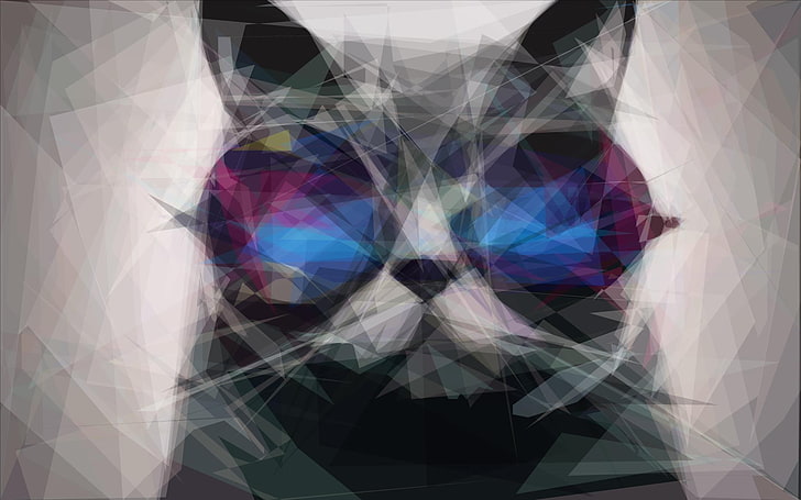 HD wallpaper: cat clip art, cat 3D wallpaper, sunglasses, digital art,  animals | Wallpaper Flare