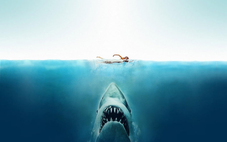 Jaws digital wallpaper, movies, shark, split view, sea, water