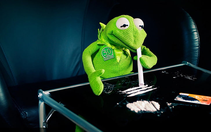 kermit the frog cocaine 1680x1050  Animals Frogs HD Art