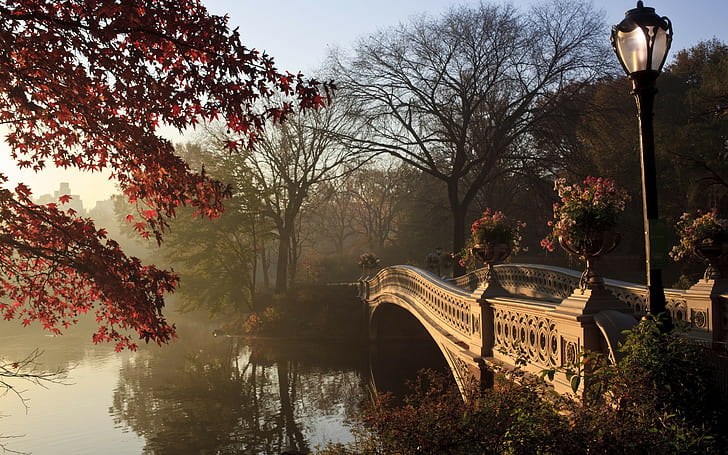New York City, Central Park, autumn tree, trees, bridge, Lamppost, HD wallpaper