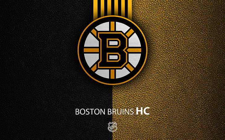 Hockey, Boston Bruins, Emblem, Logo, NHL