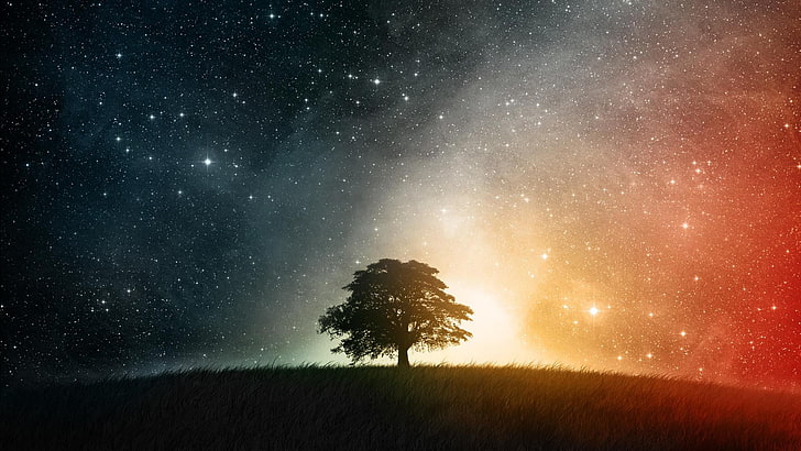 silhouette of tree, simple, trees, stars, space, space art, nature