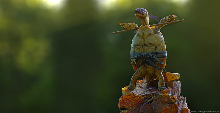 tortoises, animals, 3D, CGI, Teenage Mutant Ninja Turtles, Donatello