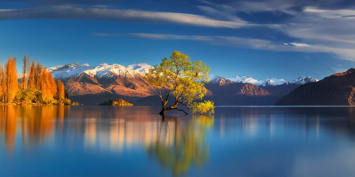 autumn, mountains, lake, tree, New Zealand, Lake Wanaka, Southern Alps