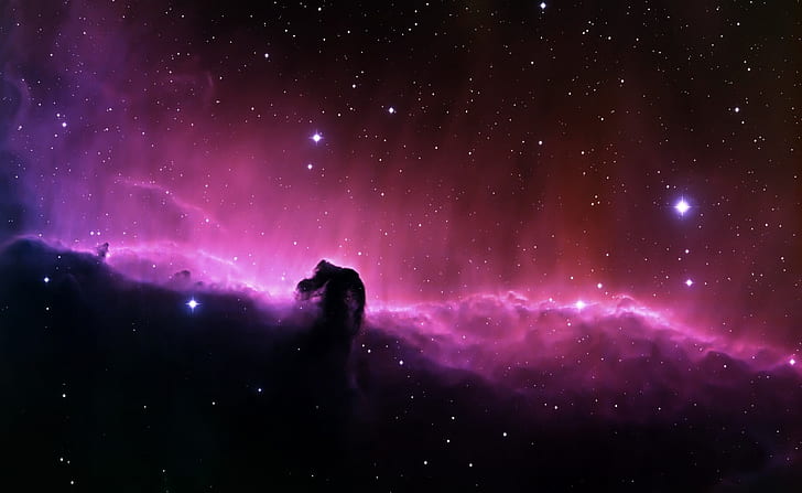 horsehead nebula   wide, HD wallpaper