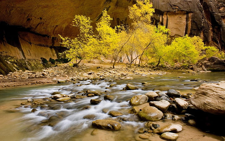 Nature River Riverbed Stones Rocks Willow With Green Leaves Hd Wallpaper Download For Desktop