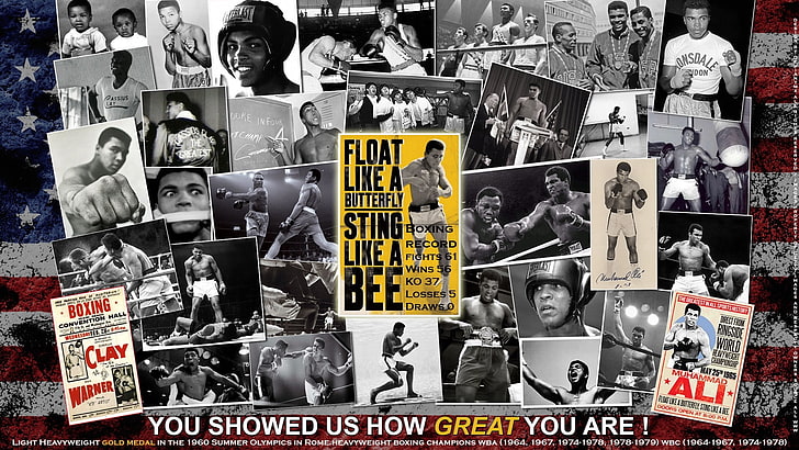 butterfly fight boxing muhammad ali collage bees boxer 1920x1080  Animals Butterflies HD Art