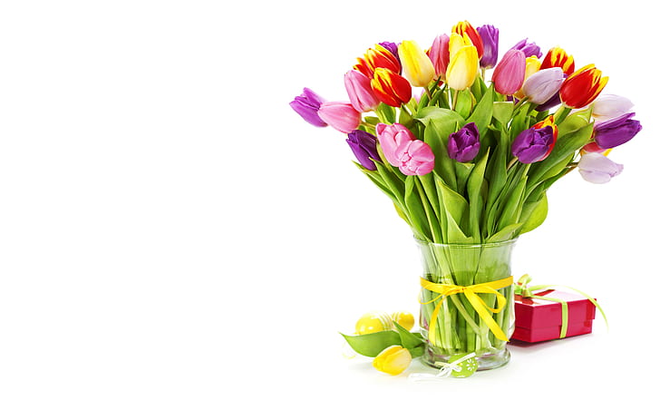 Vase Flowers, tulips, ribbon