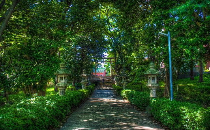 Walking Towards The Shinto Shrine, green trees, Asia, Japan, Landscape, HD wallpaper
