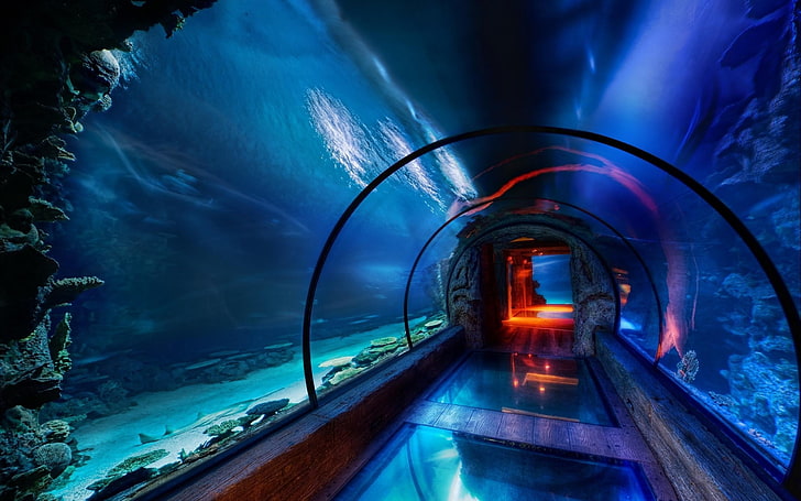 hallway in underwater, aquarium, tunnel, sea, HDR, indoors, nature, HD wallpaper