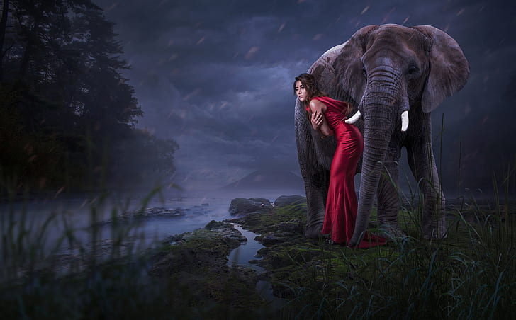 fantasy girl, red dress, elephant, women, animals, HD wallpaper