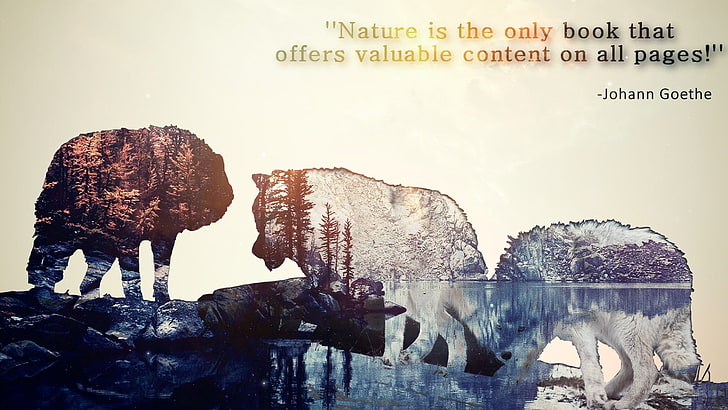 nature is the only book that offers valuable content on all pages by Johann Goethe text, HD wallpaper