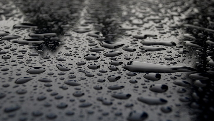 water drops, wet, close-up, selective focus, no people, day, HD wallpaper