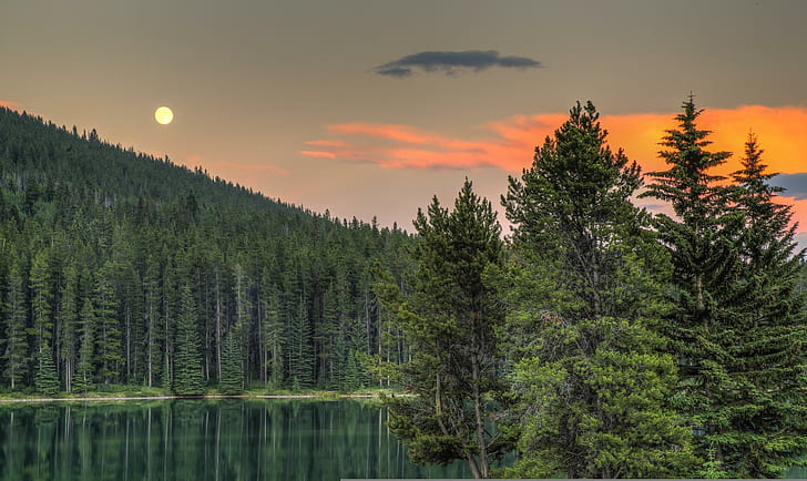 Alberta Canada Lake Forest Sunset Trees Photo Background, lakes, HD wallpaper