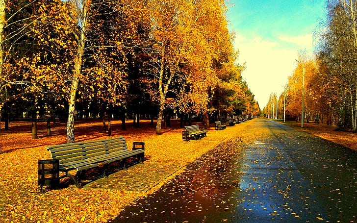 Park After Rain, golden autumn, evening, foliage, bench, leaves, HD wallpaper