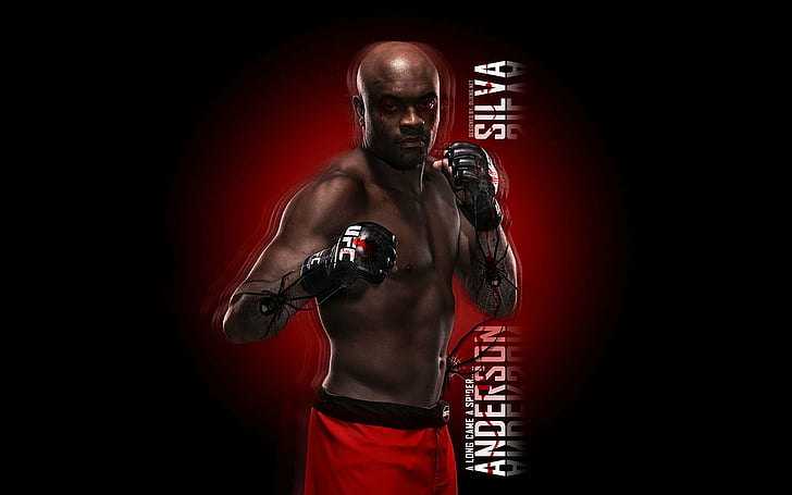 Sports, Mixed Martial Arts, Anderson Silva, Fighter, HD wallpaper