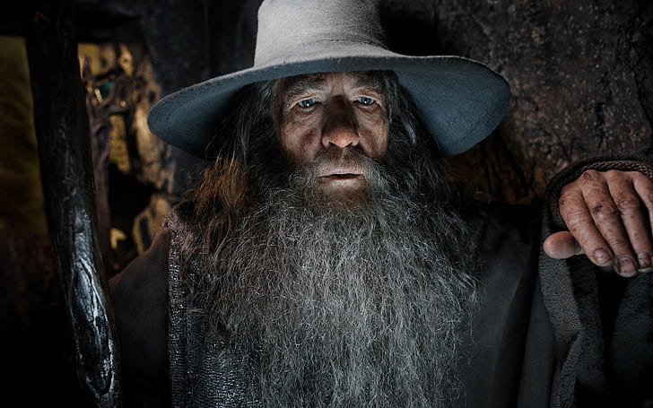 Gandalf, The Hobbit, The Hobbit: The Desolation of Smaug, Ian McKellen, HD wallpaper