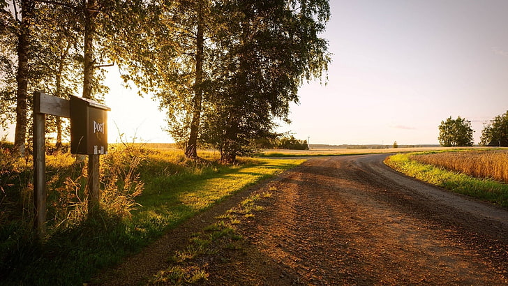 nature, trees, sunset, path, dirt road, plant, grass, sky, direction, HD wallpaper