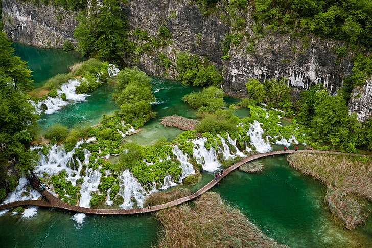 body of water and green trees, greens, rock, lake, tropics, vegetation, HD wallpaper