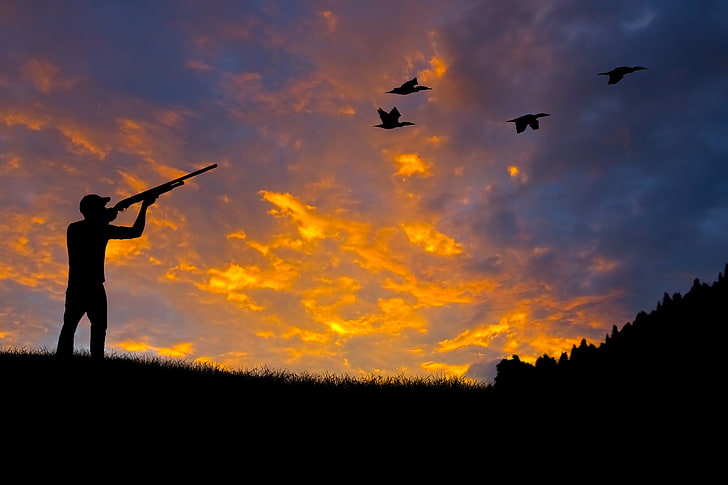 Download HD Duck Hunting Wallpaper  Ducks Flying In Png Transparent PNG  Image  NicePNGcom