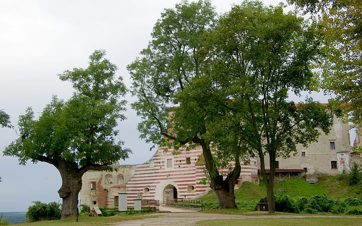 janowiec castle, tree, architecture, plant, built structure