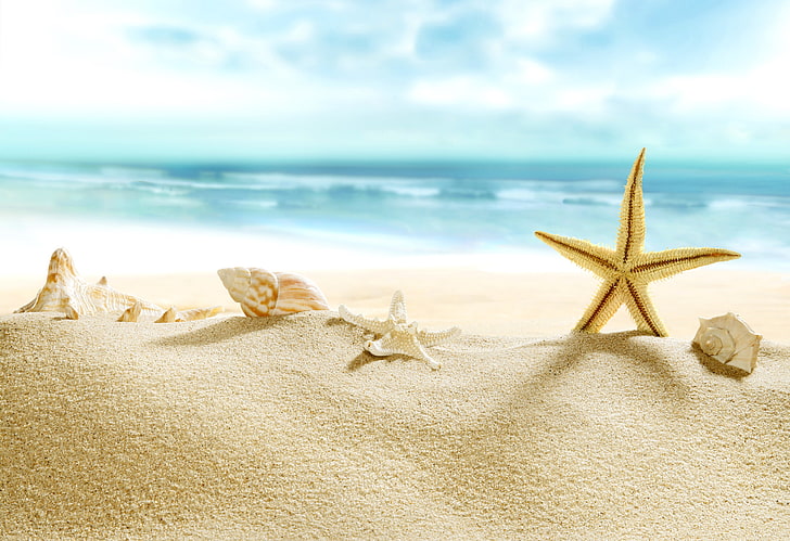 sand, sea, beach, shore, shell, summer, blue, paradise, starfish, HD wallpaper