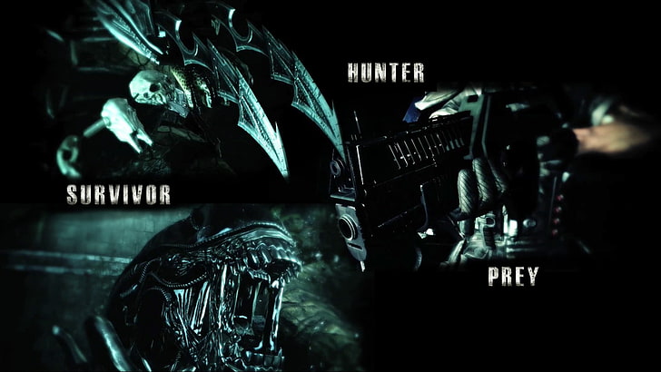 Alien movie photo collage, Predator (movie), movies, Alien (movie), HD wallpaper