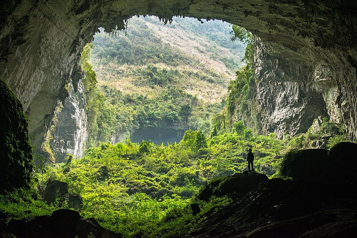 gray cave, nature, landscape, trees, forest, men, jungle, rock, HD wallpaper