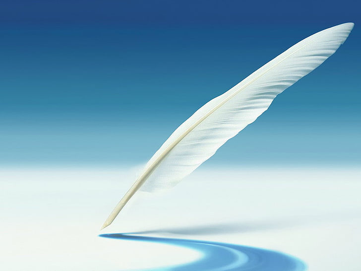 white feather, background, pen, shadow, Galaxy Note 2, quill Pen, HD wallpaper